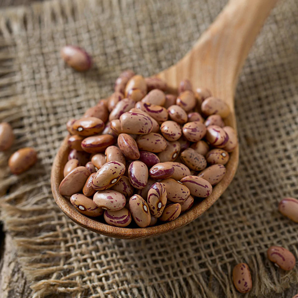 24 pounds Barber's Farms Colorado Grown Pinto Beans